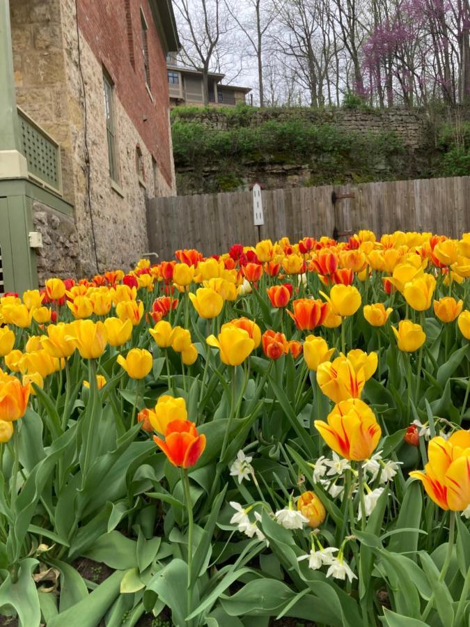 Abe'S Spring Street Guest House Galena Esterno foto